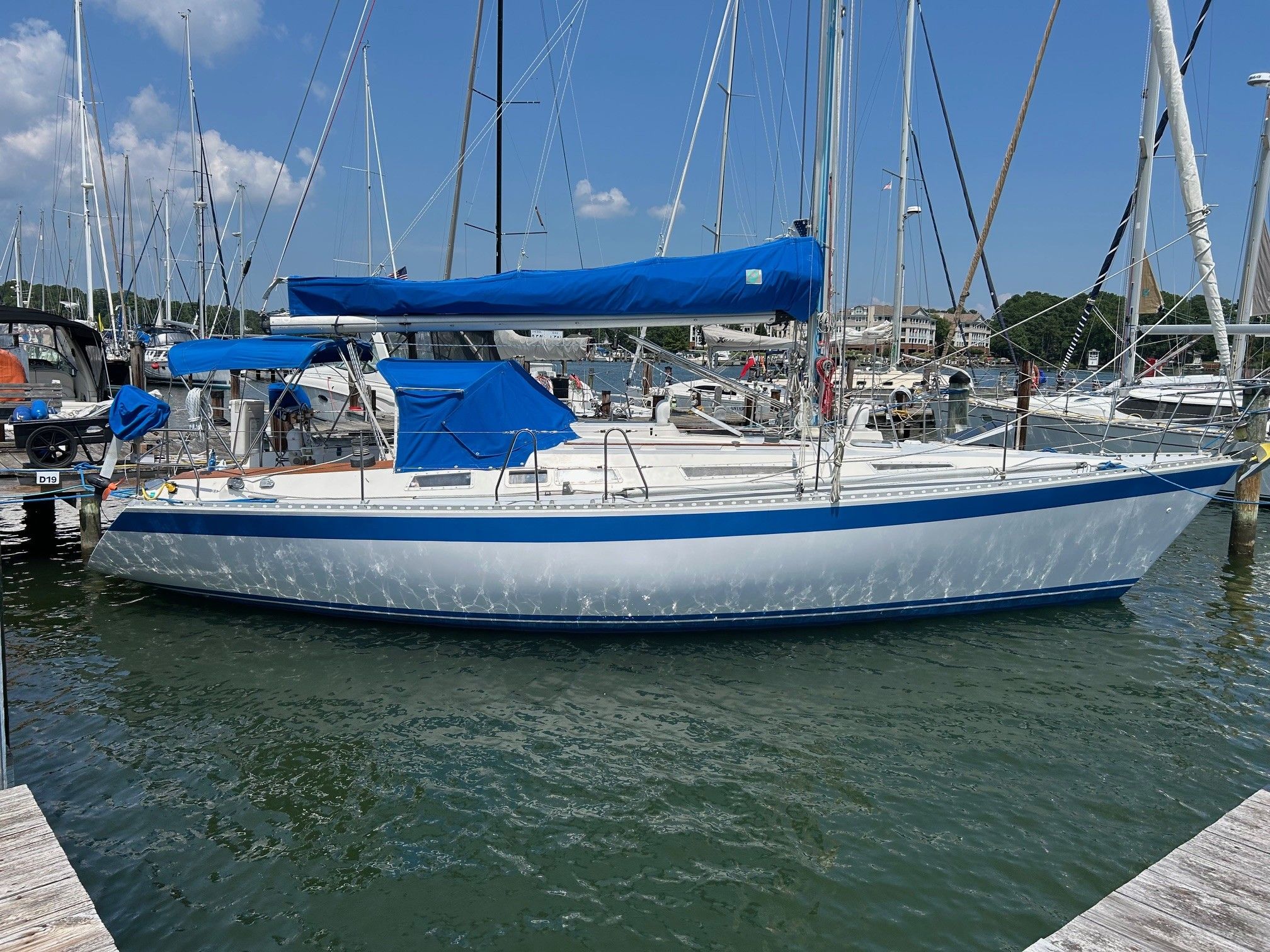 1987 Wauquiez Centurion — photo 4